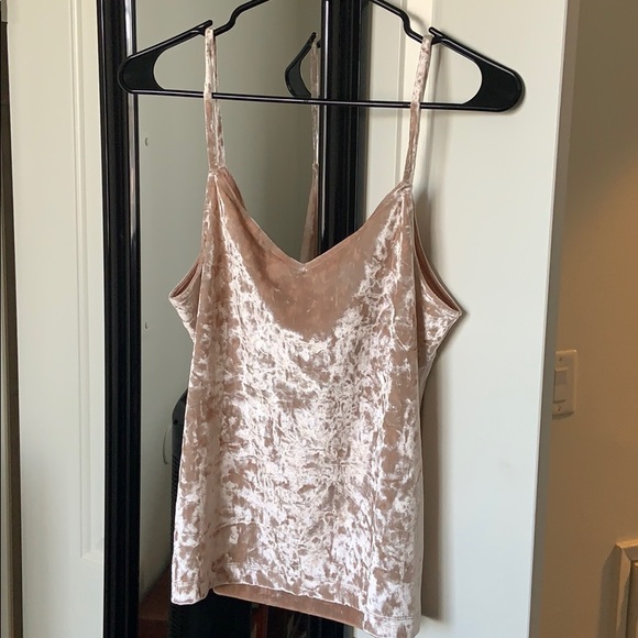 Pink Velvet Blouse - Picture 3 of 4